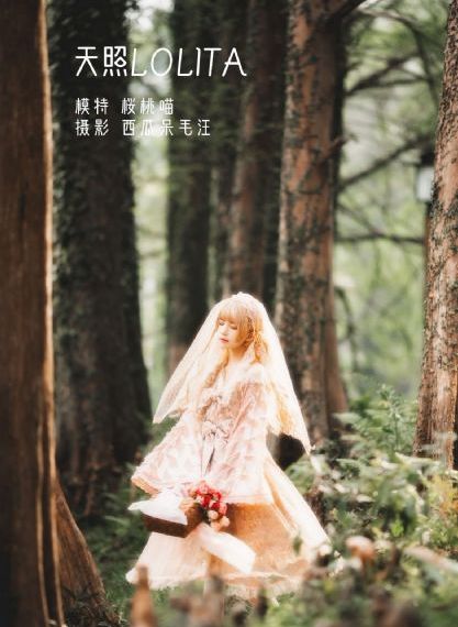 我和我的祖国免费高清播放