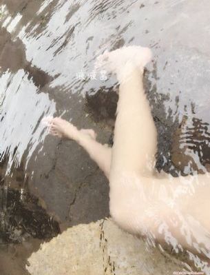 一条狗的回家路免费观看完整版